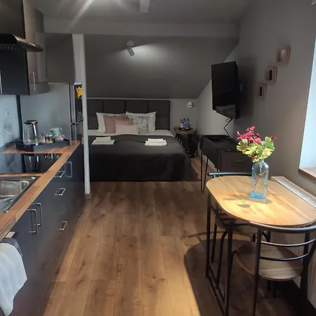 Apartamenty Wiejska 126 Sosnowiec Exterior photo