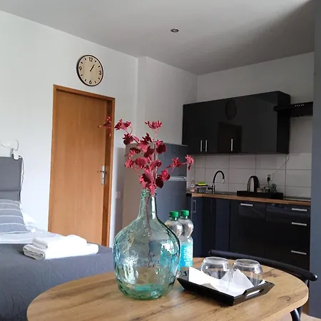 Apartamenty Wiejska 126 Sosnowiec Exterior photo