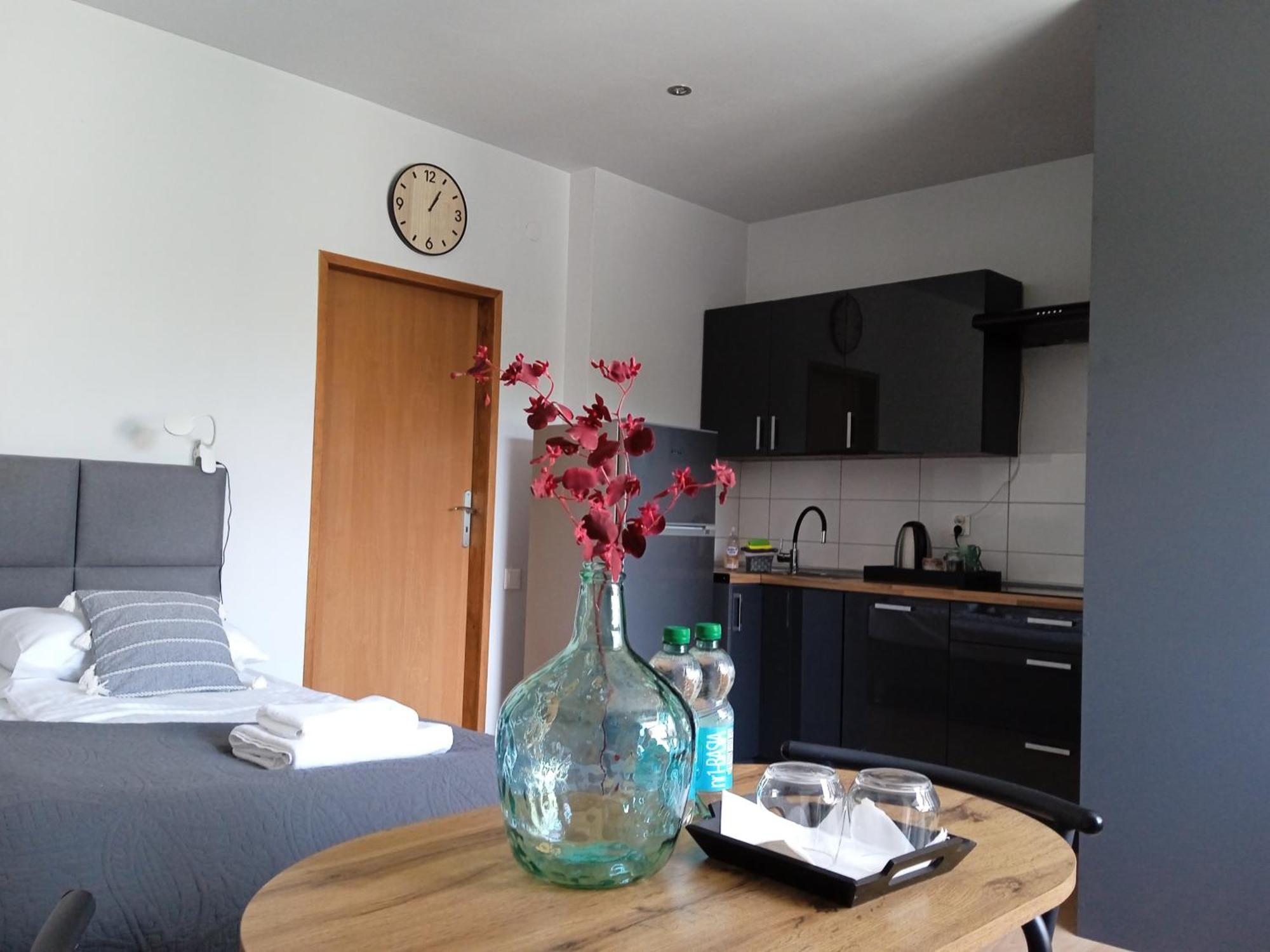 Wiejska 126 Apartment Sosnowiec